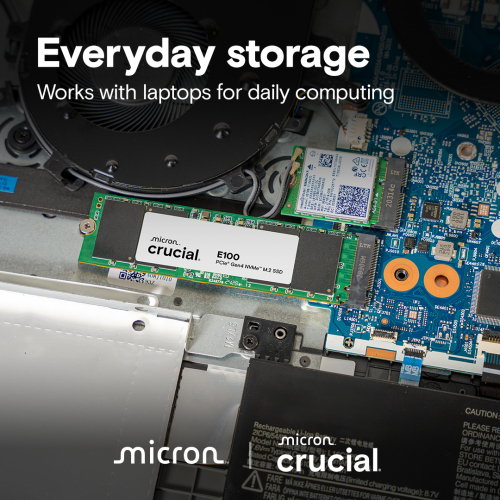 CRUCIAL CT480E100SSD8, E100, 480GB, 4700/2500, Gen4, NVME PCIe M.2 2280, SSD